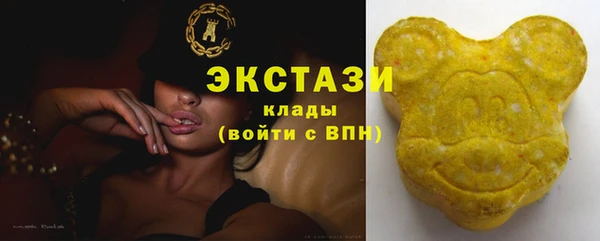 индика Волоколамск