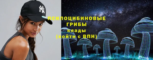 мдпв Щигры