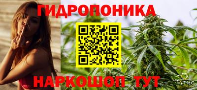 стафф Будённовск