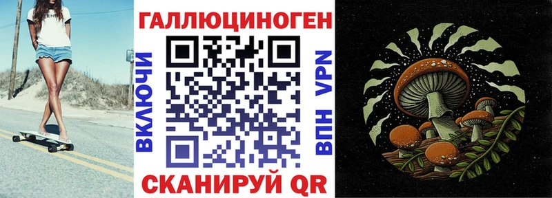 Галлюциногенные грибы Psilocybe  Ржев 
