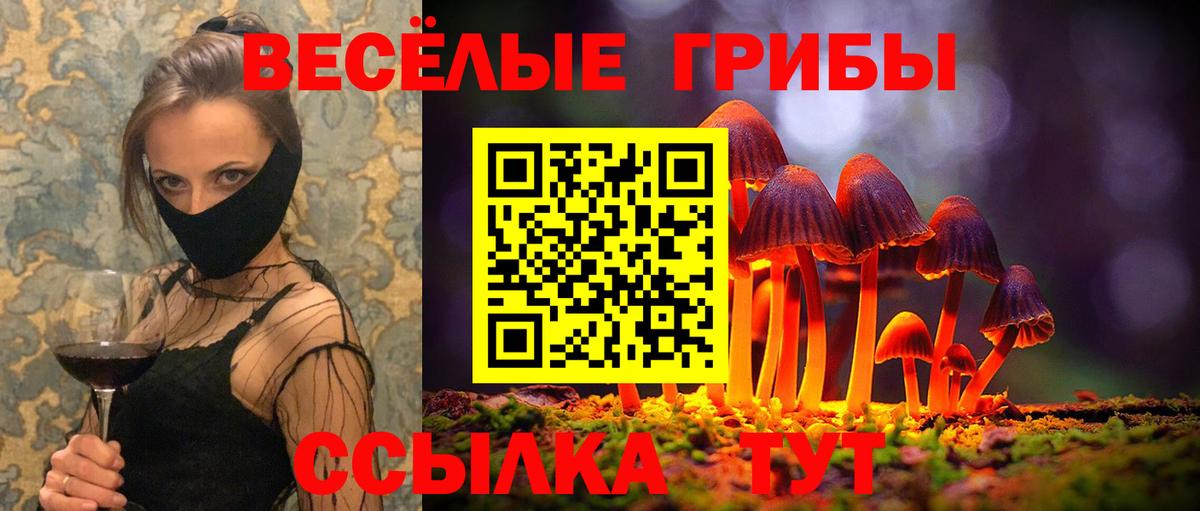 Псилоцибиновые грибы GOLDEN TEACHER Ржев