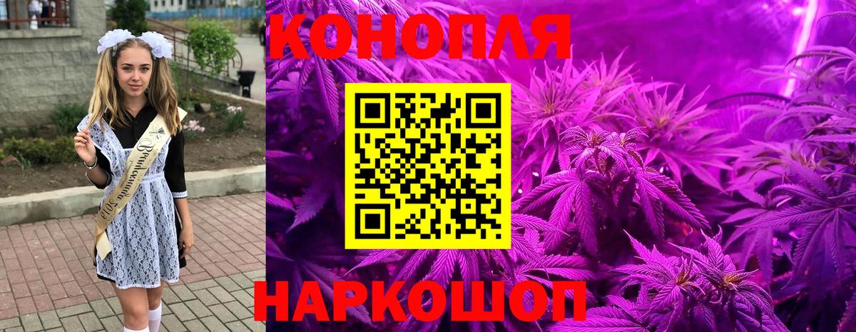 Каннабис сатива Ржев